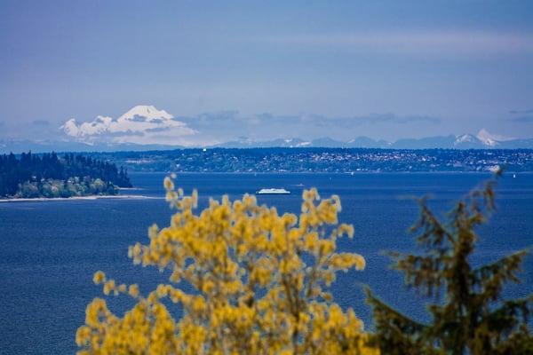 View on the drive up to Olalla Guest Lodge