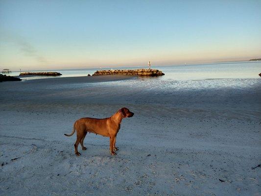 Apollo Beach Nature Preserve