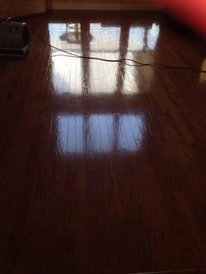 Wood floors 
Cleaned and polished