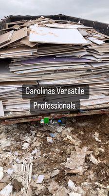 Carolinas versatile professionals