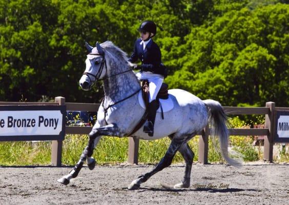 Katrina Garnett and her Lazzini, showing in the A/A Jumpers. The Garnett family has been a JPT client for over a decade.