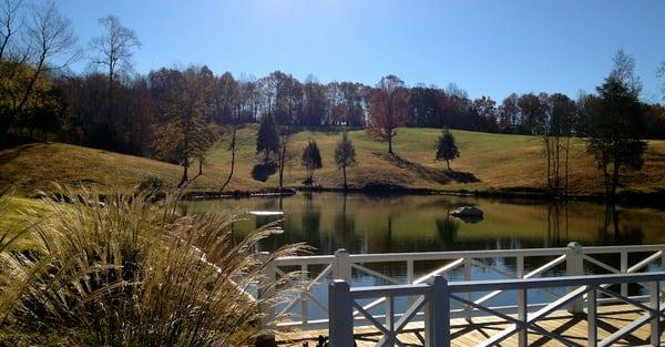 Platinum Ponds & Lake Management