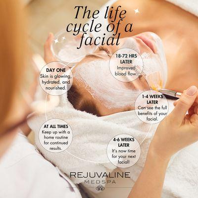 Rejuvaline's life cycle of a Facial