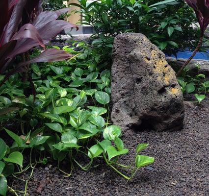 Big Rock Boulder, One of several at planter at Restaurant Row!