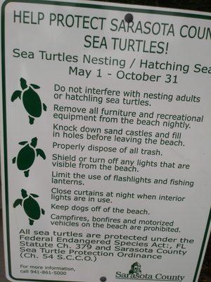 Sea turtle info. Save a turtle ride a seahorse.