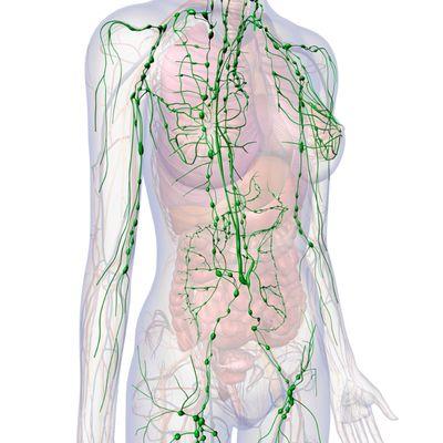 Lymphatic Drainage Therapy