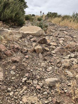 Single Track Trails off Los Robles are no joke!  Tough climbing on a Mountain Bike!  I love it!  Loose & rocky. Be ready to work!