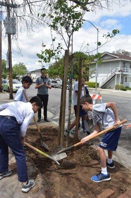 Community Service: Tree Planting