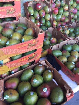 Boxes of mangoes outside