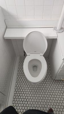 High rise toilet in master bathroom