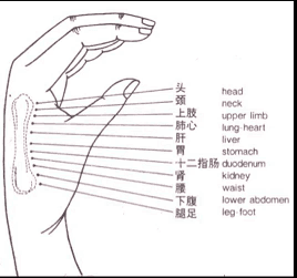 Acupuncture points on the hand