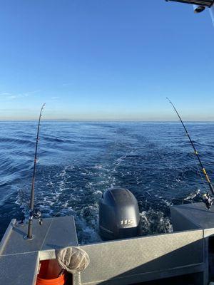 Trolling in beautiful conditions off of Catalina island.