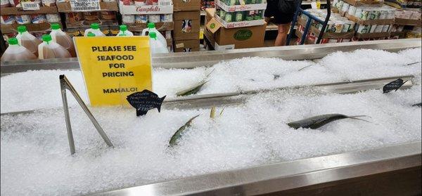 Frozen fish. January 2023