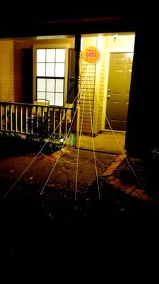 Tasting my spider web@night. I will find a new spot and do better tmr. My house will be scarier than a haunted mansion! :"P