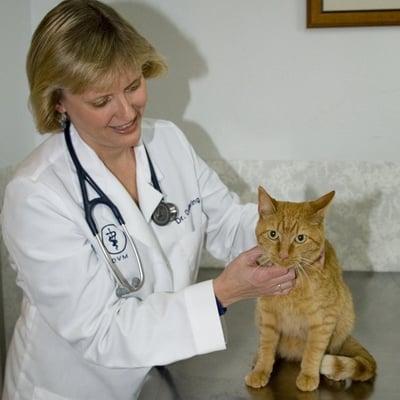 Dr. Dedering with a feline patient