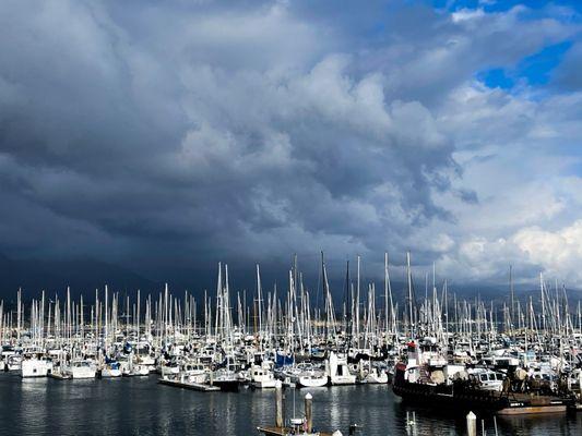 Seacoast Yachts of Santa Barbara