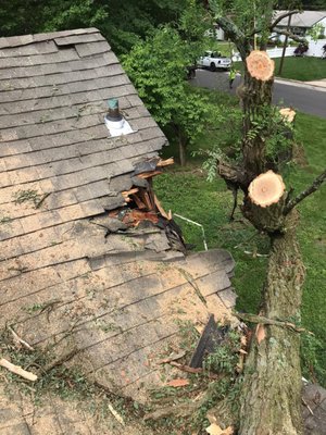 Emergency services: Damage from tree falling on roof.