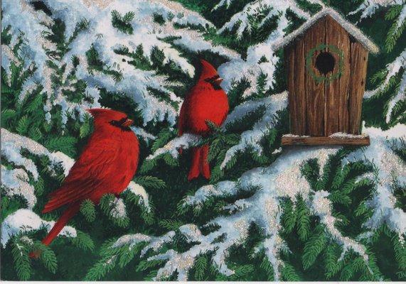 Cardinals in winter