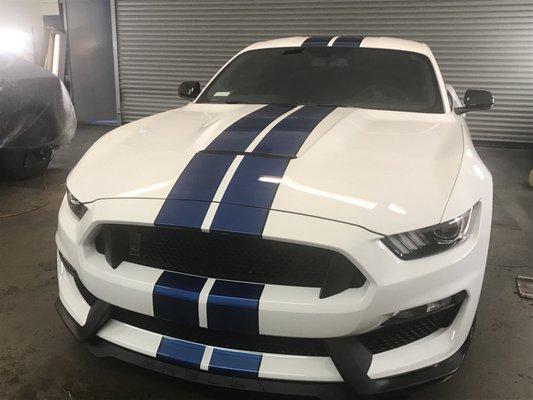 2017 Mustang Gt350 Protected With Xpel Ultimate