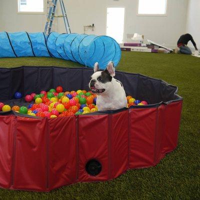 Hanging out in the ball pit.