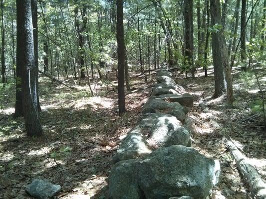 Old stone wall along the nature walk