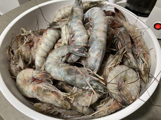 White shrimp.  They're naturally salty.