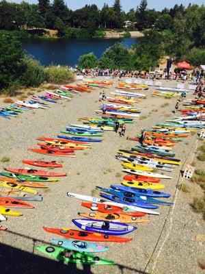 Picture of the kayaks after the participants came in.