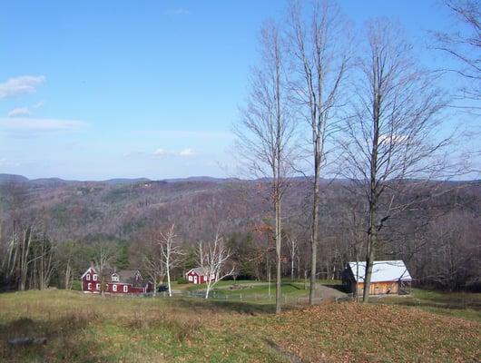 View of B&B, separate game room behind, and a guests' stable off to the right. High Pocket 2004.