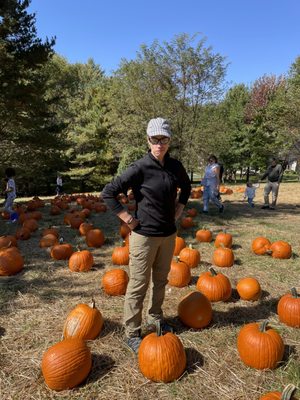 Pick your own pumpkin "patch"