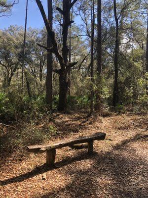 Gator Creek Reserve