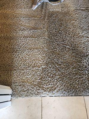 Before/After Carpet Cleaning