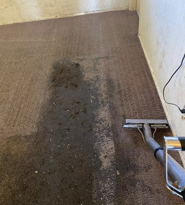 CARPET CLEANING SPECIALS! CALL US NOW!!