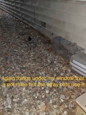 Cat houses under my living room window not mine, it's the same tenant that is not on ground floor.