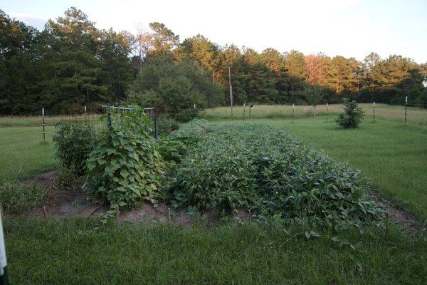 Berry Hill Irrigation