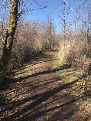 Trail at Mercer Slough Nature Park