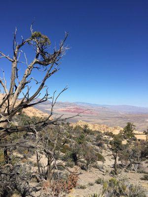 Great hike with majestic views! 8miles rt.