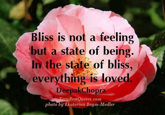 Live a life of bliss!