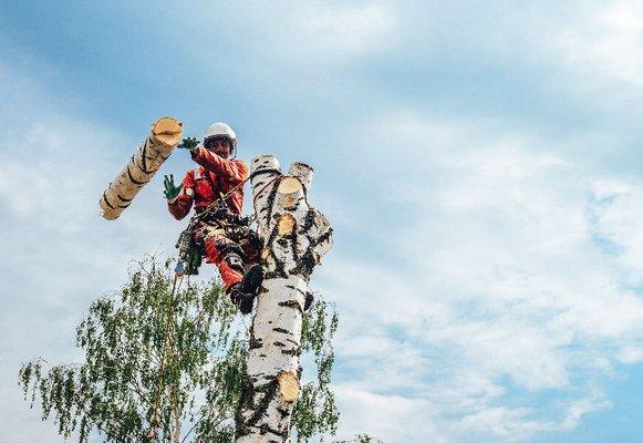 Missouri River Tree Experts