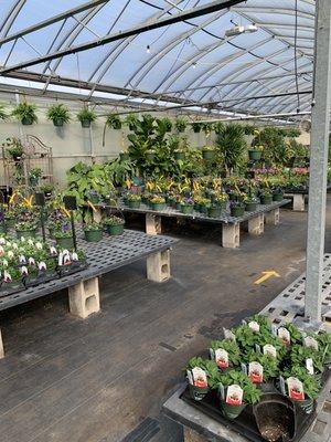 Genrich's Florist & Greenhouse