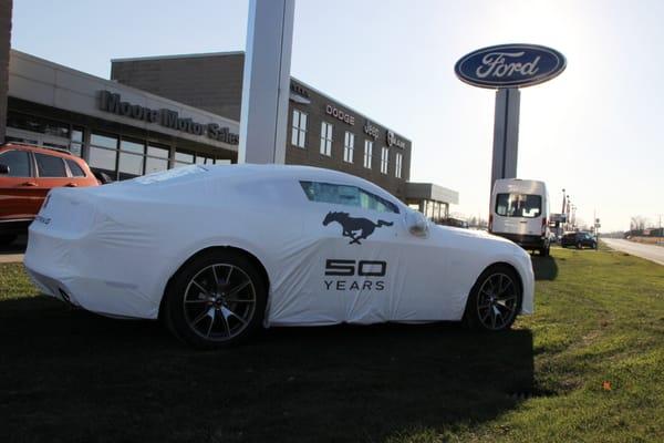 50th Anniversary Mustang