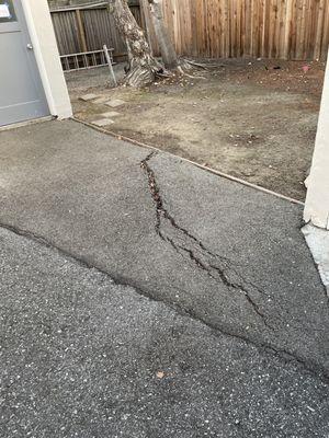 Asphalt bulge caused by tree root caused a trip hazard.