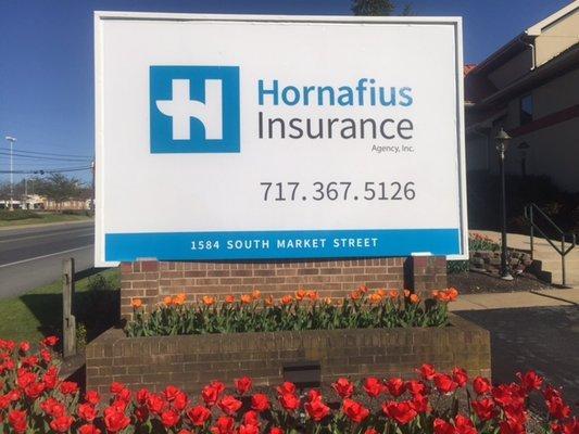 www.hornafiusinsurance.com