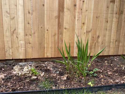 Pressure treated 2x4 at bottom