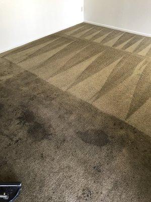 Don't let the before and after examples fool you, what sets us apart is the process we take in delivering clean carpets.