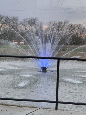 Pond and fountain