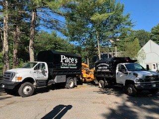 Pace's Tree Service LLC