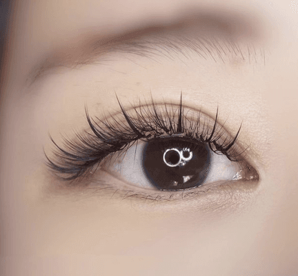 MissCat Eyelash, Eyelash Extensions, White Plains, NY