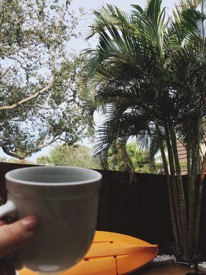 Morning cup of coffee with the palms in the private courtyard.