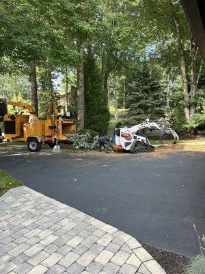 Tree cleanup