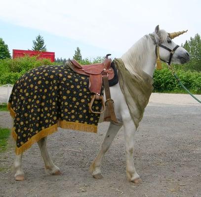 Cute costumed ponies!